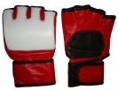 MMA Gloves